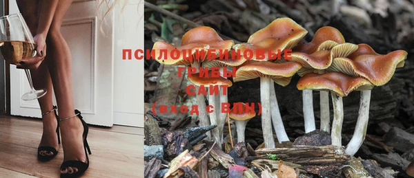 PSILOCYBIN Алексин